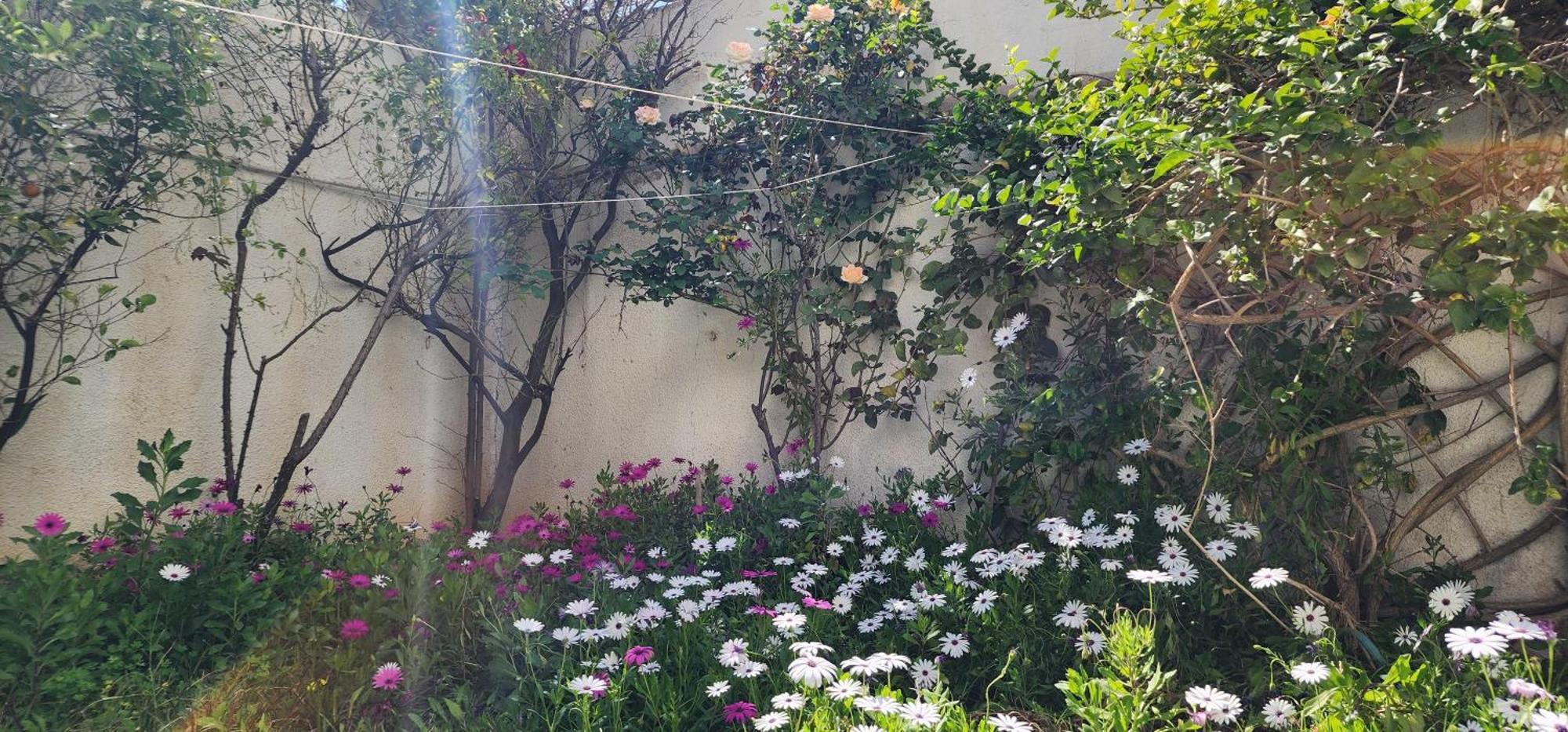 Duplex Bien Equipe Securise Avec Jardin Et Veranda La Marsa Exterior photo